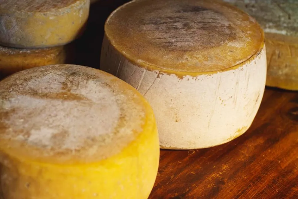 Un domingo para celebrar el queso cordillerano en Junín de los Andes