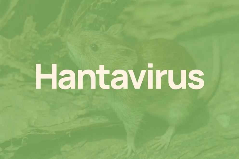 Confirman un segundo caso de hantavirus en la zona rural de Aluminé