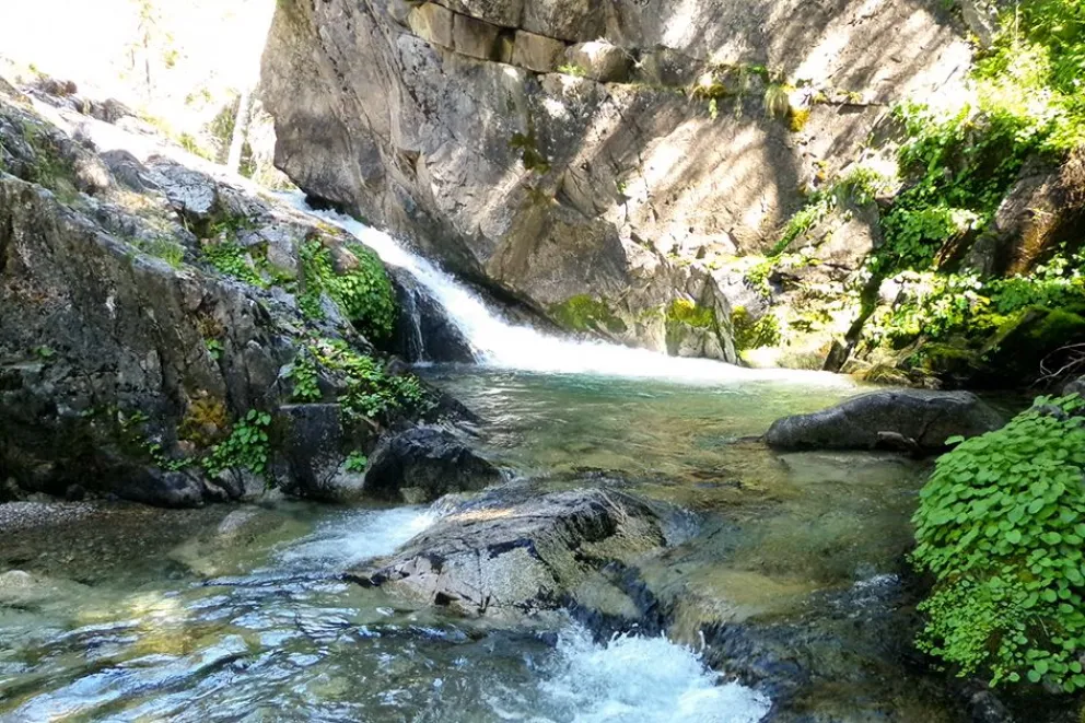 Refugio de conservación natural y conexión ancestral en Chañy
