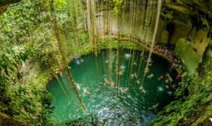 Yucatán: denuncian contaminación de cenotes por granjas porcícolas