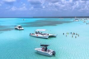 Cozumel: cocodrilo sorprende a turistas en Playa El Cielo